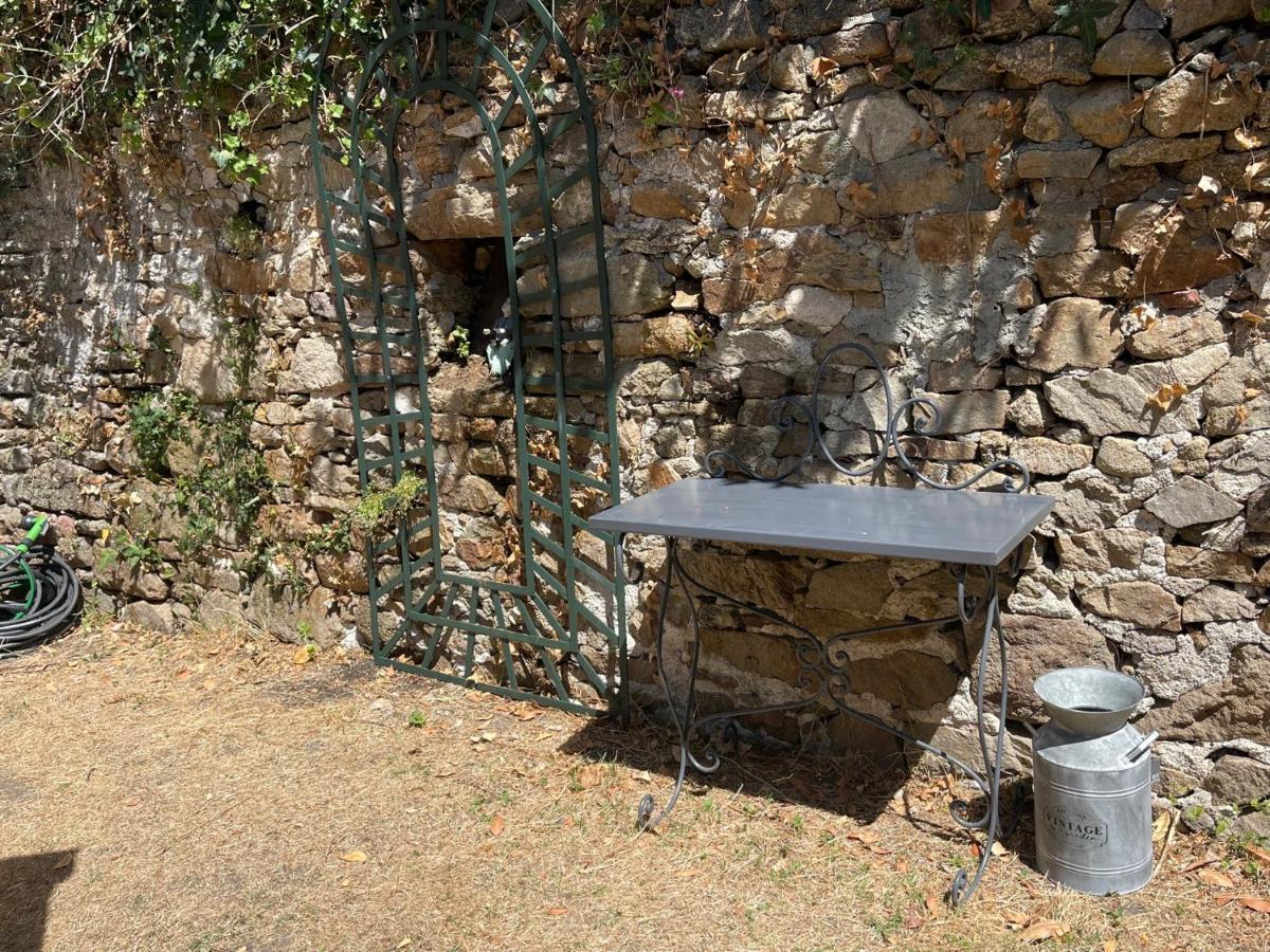 Le Patio, Coeur De Ville Avec Garage Et Jardin Ван Екстериор снимка